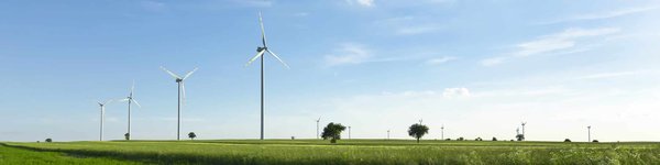 Réduisez votre empreinte écologique lors de votre déménagement : 5 alternatives écoresponsables aux cartons traditionnels