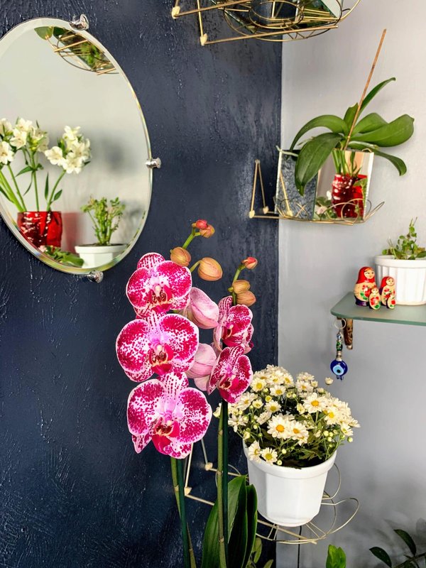 Décoration d'intérieur : tous les points essentiels à savoir