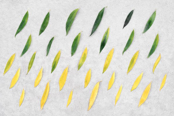 comment préparer ses enfants à un déménagement