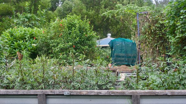 Quels sont les meilleures stratégies pour aménager un jardin en permaculture sur un terrain argileux?